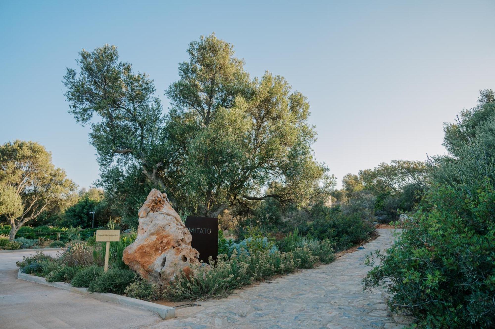 Village Heights Resort Hersonissos  Exteriér fotografie